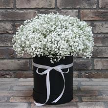 Цветочная композиция из Гипсофила в шляпной коробке в Нижних Ачалуках